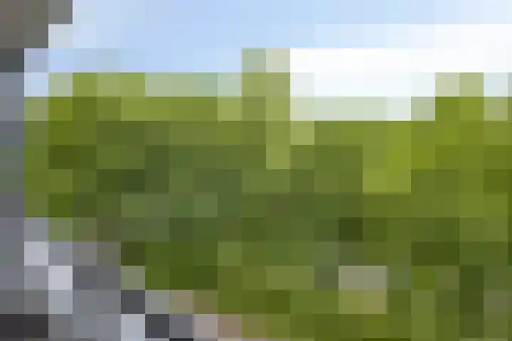 Boompjesgoed 6 B Veenendaal thumbnail 28