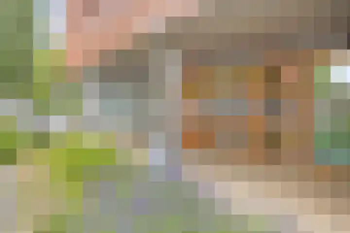Boompjesgoed 6 B Veenendaal thumbnail 35