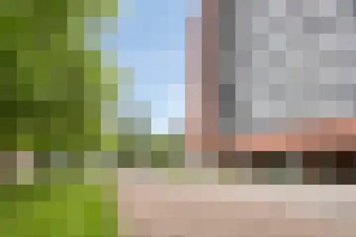 Boompjesgoed 6 B Veenendaal thumbnail 39