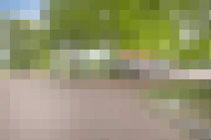 Boompjesgoed 6 B Veenendaal thumbnail 41