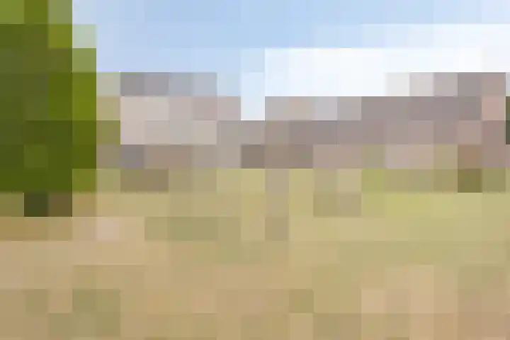 Boompjesgoed 6 B Veenendaal thumbnail 42
