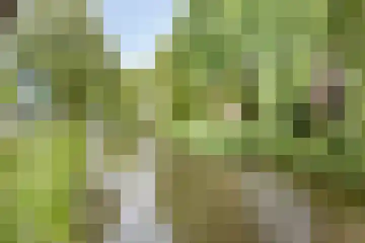 Boompjesgoed 6 B Veenendaal thumbnail 43