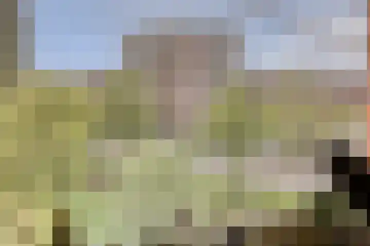 Boompjesgoed 6 B Veenendaal thumbnail 8
