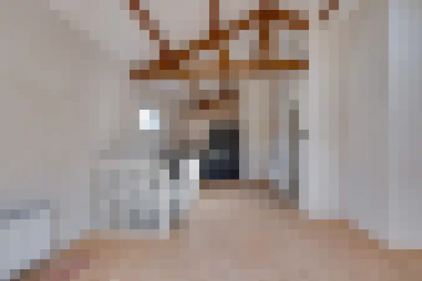 Boompjesstraat 2 A Strijen thumbnail 14