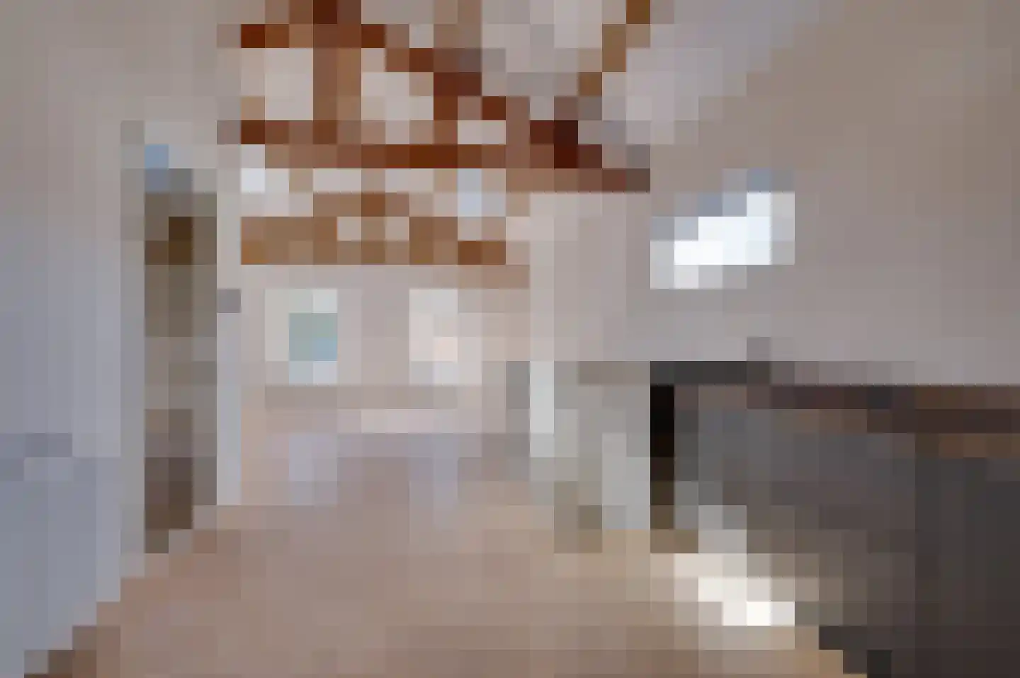 Boompjesstraat 2 A Strijen thumbnail 17