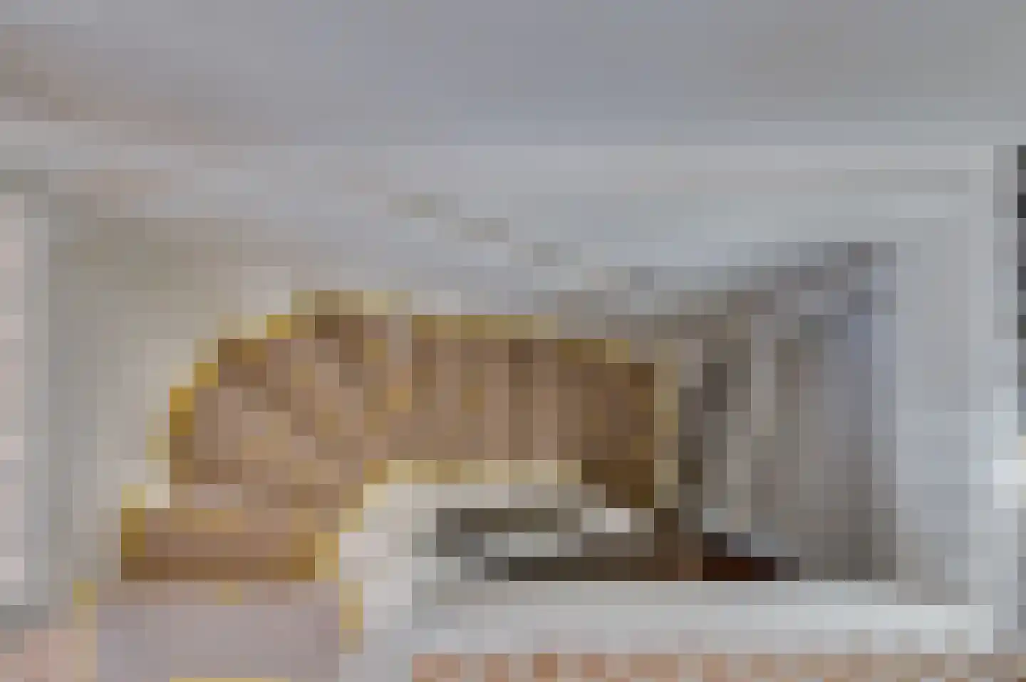 Boompjesstraat 2 A Strijen thumbnail 18