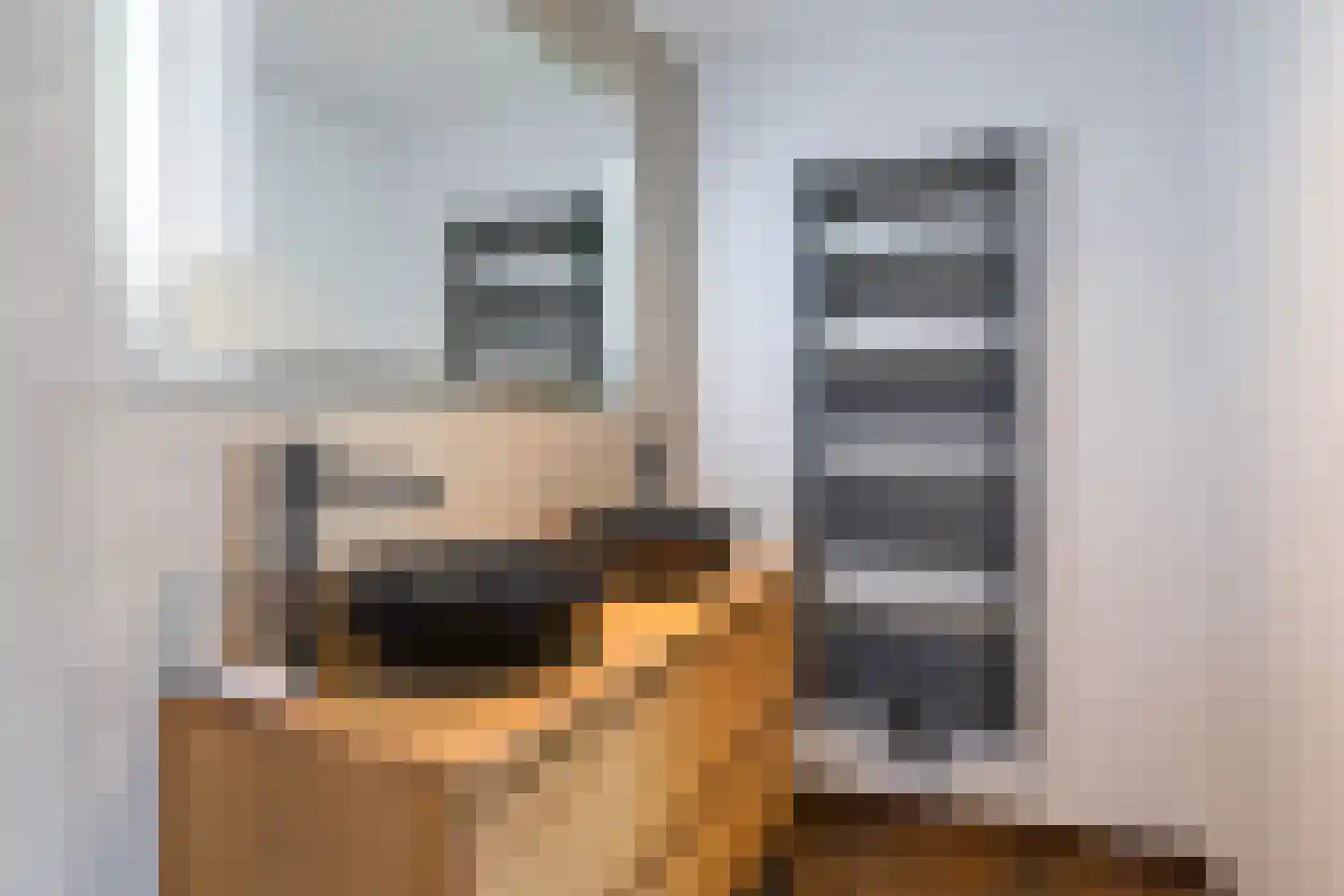 Boompjesstraat 2 A Strijen thumbnail 20