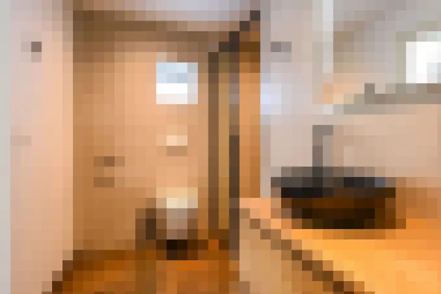 Boompjesstraat 2 A Strijen thumbnail 21