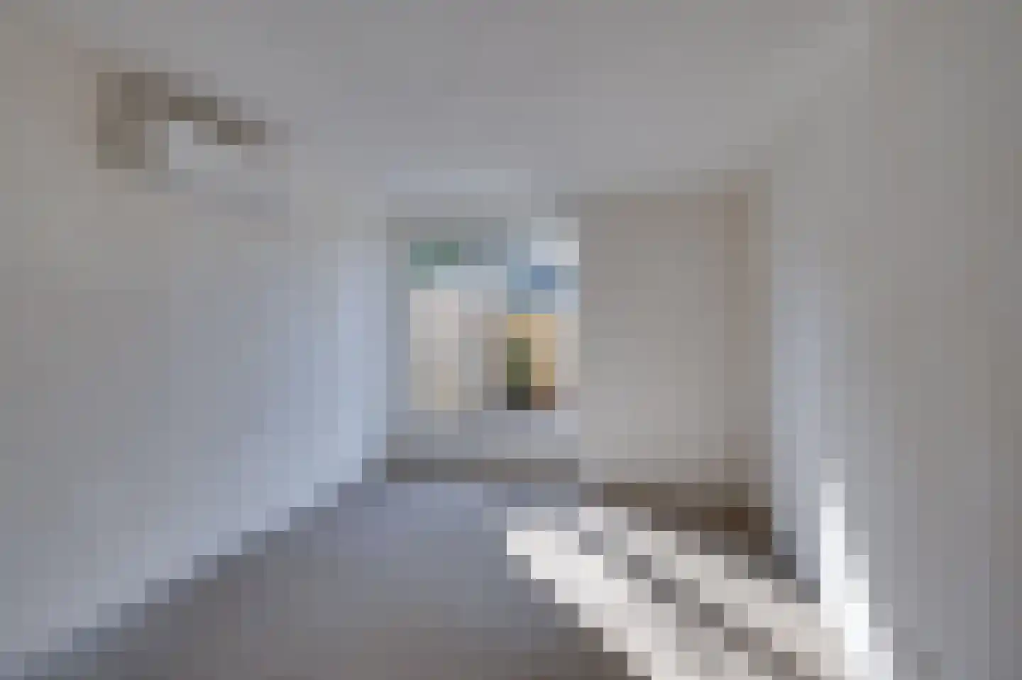 Boompjesstraat 2 A Strijen thumbnail 22