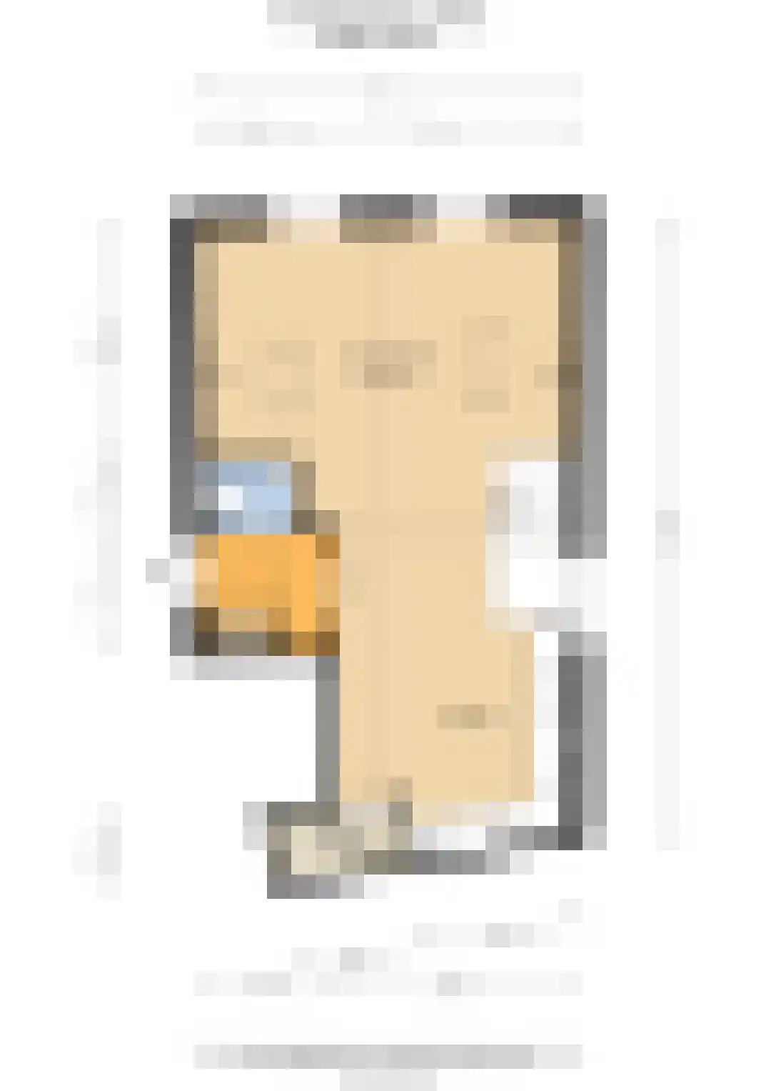 Boompjesstraat 2 A Strijen thumbnail 32