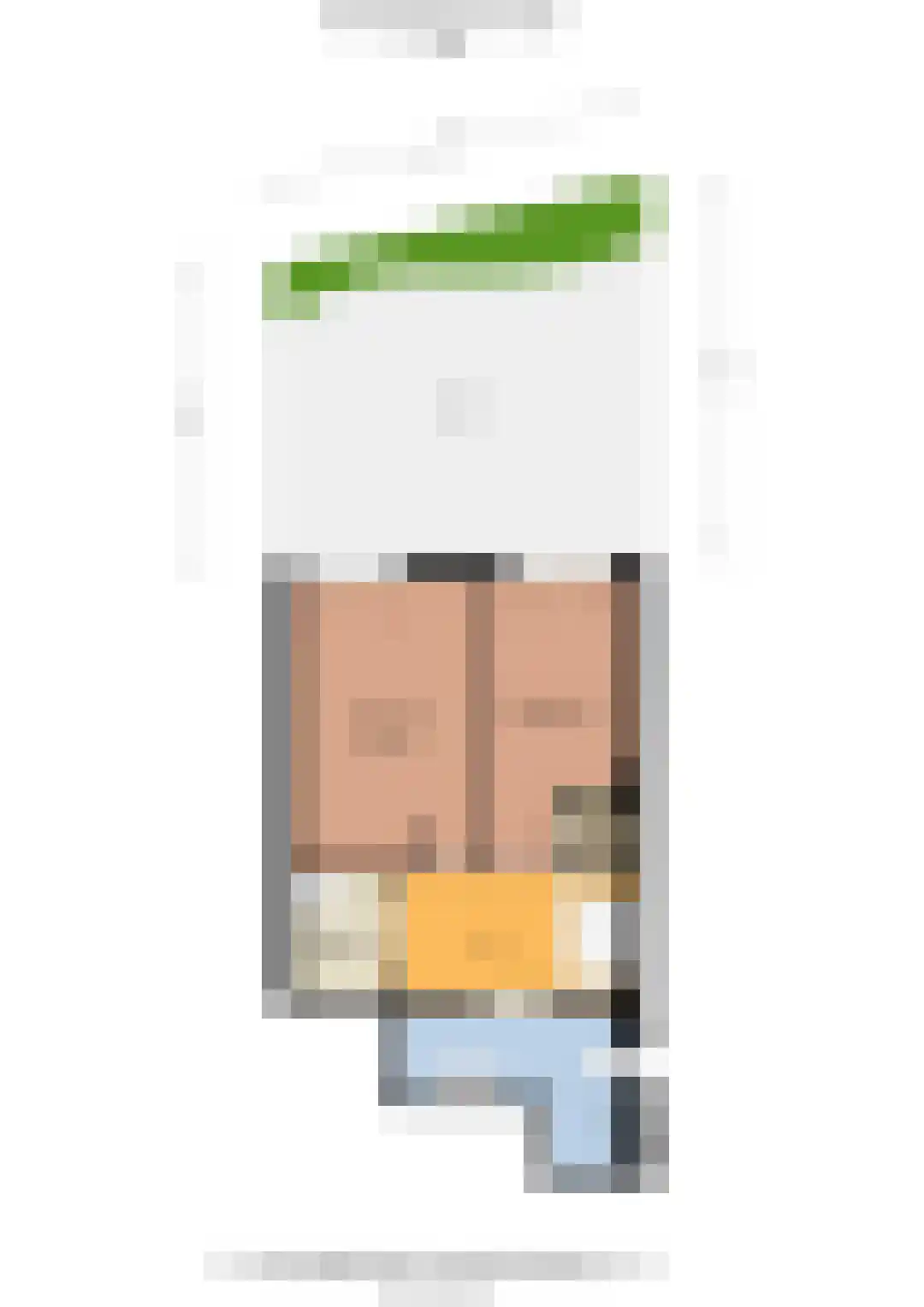 Boompjesstraat 2 A Strijen thumbnail 35