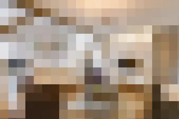 Boompjesstraat 27 Strijen thumbnail 14