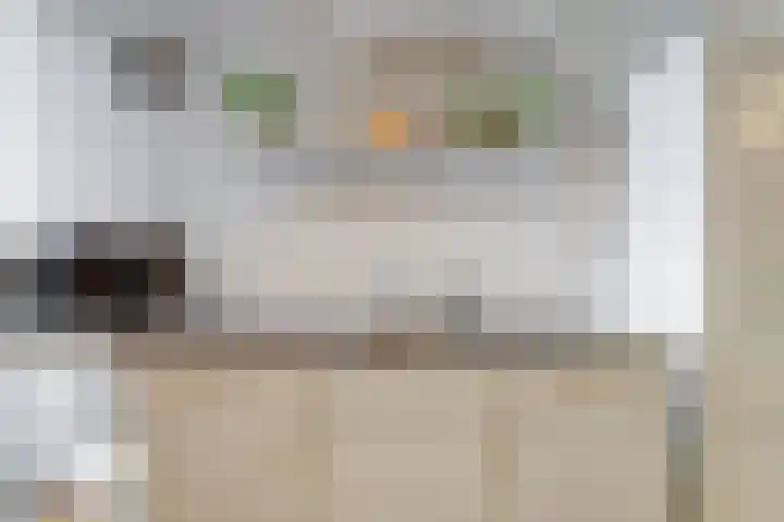Boompjesstraat 27 Strijen thumbnail 16