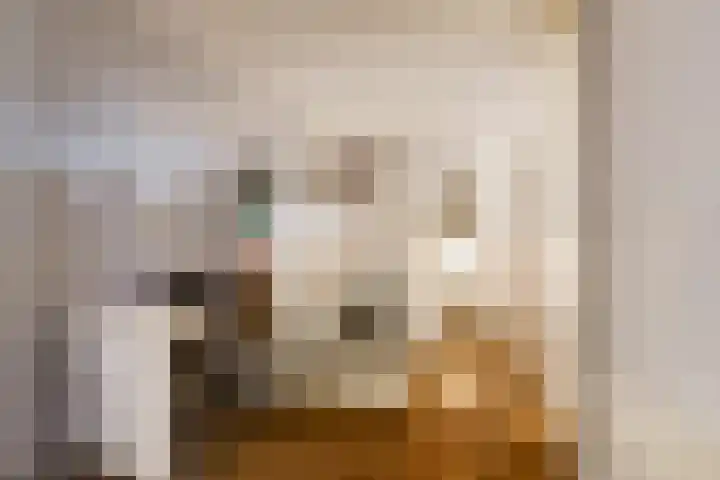 Boompjesstraat 27 Strijen thumbnail 17