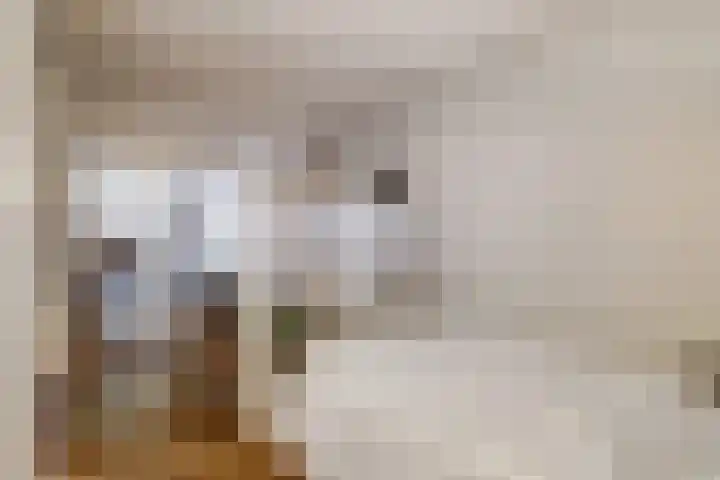 Boompjesstraat 27 Strijen thumbnail 18