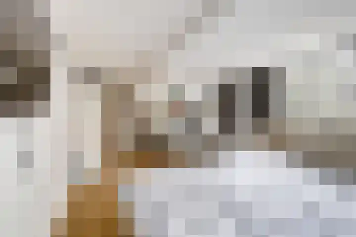 Boompjesstraat 27 Strijen thumbnail 20