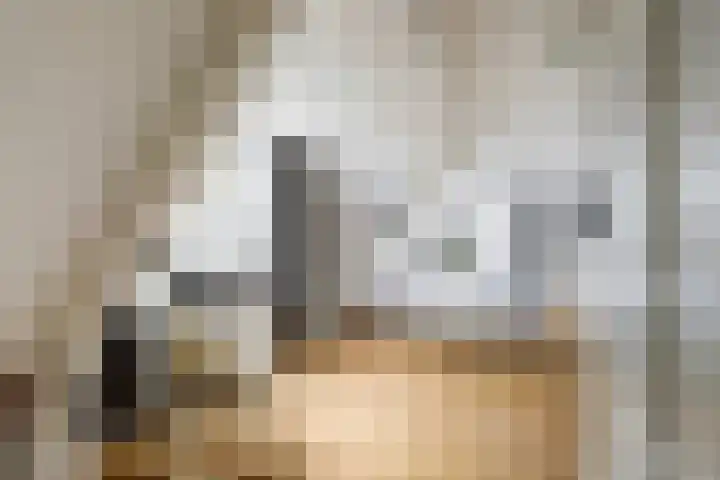 Boompjesstraat 27 Strijen thumbnail 21