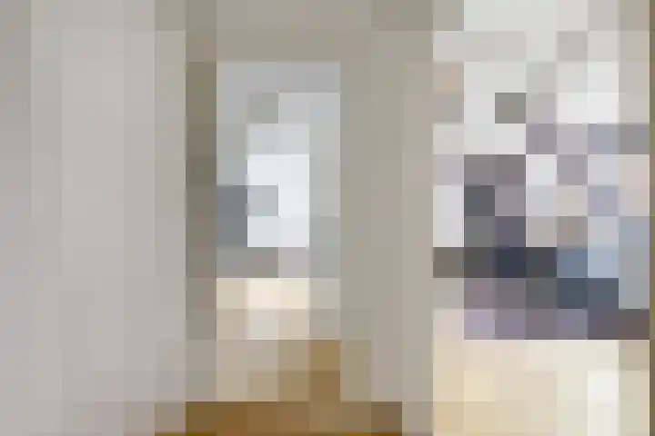 Boompjesstraat 27 Strijen thumbnail 22