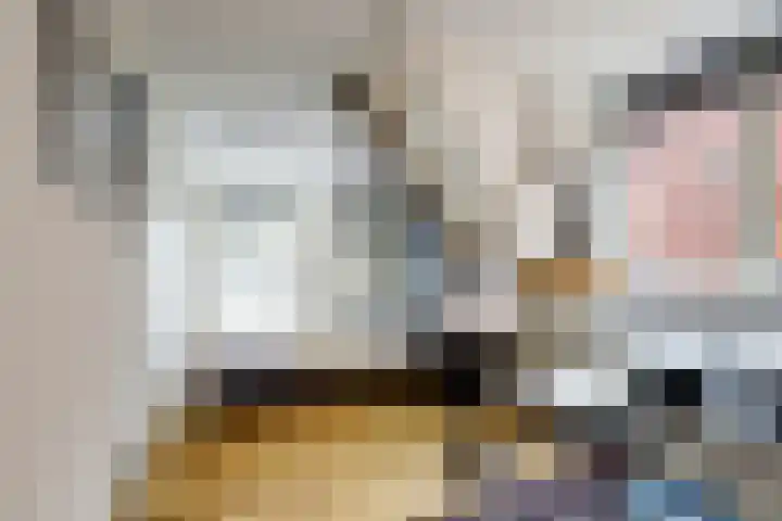 Boompjesstraat 27 Strijen thumbnail 23