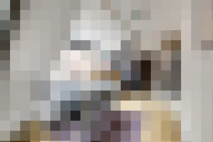Boompjesstraat 27 Strijen thumbnail 24
