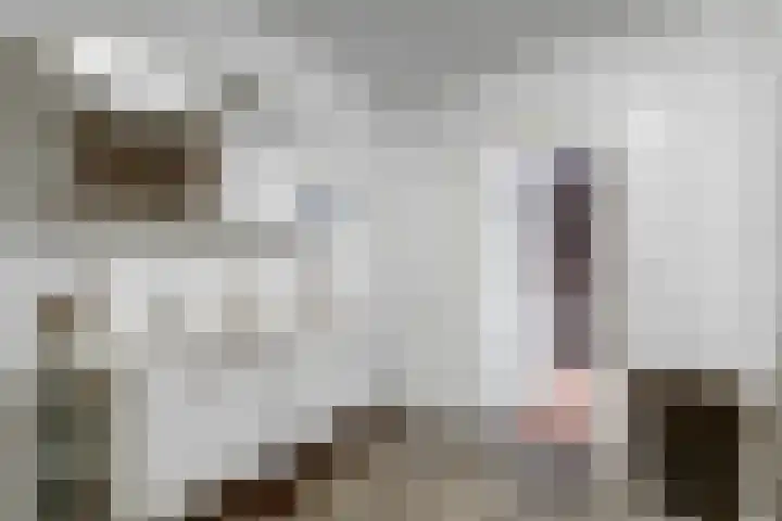 Boompjesstraat 27 Strijen thumbnail 25