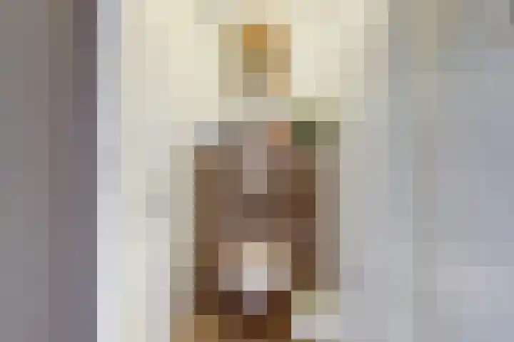 Boompjesstraat 27 Strijen thumbnail 27