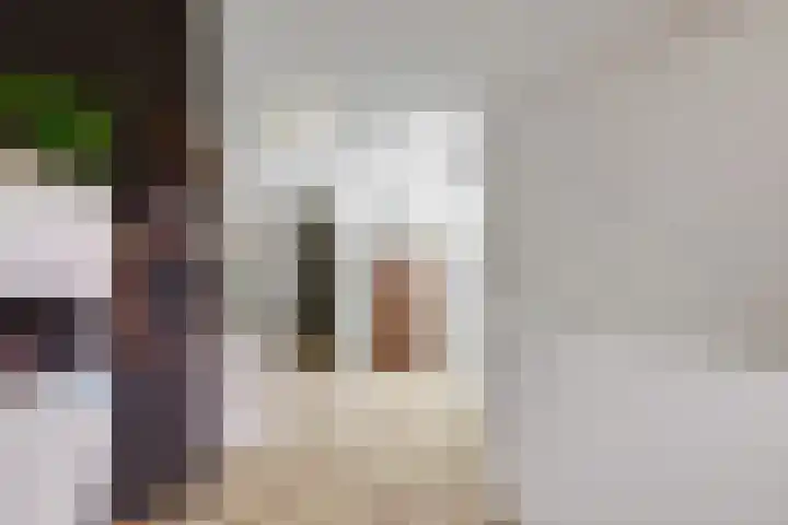 Boompjesstraat 27 Strijen thumbnail 29