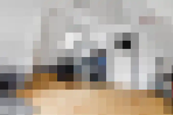Boompjesstraat 27 Strijen thumbnail 30