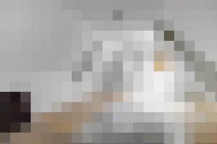 Boompjesstraat 27 Strijen thumbnail 32