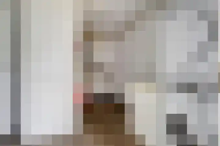 Boompjesstraat 27 Strijen thumbnail 34