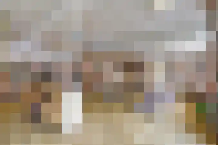 Boompjesstraat 27 Strijen thumbnail 41