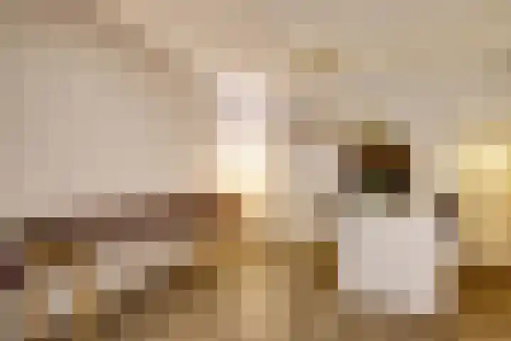 Boompjesstraat 27 Strijen thumbnail 42