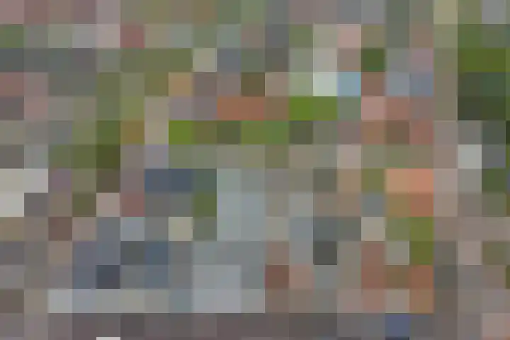 Boompjesstraat 27 Strijen thumbnail 53