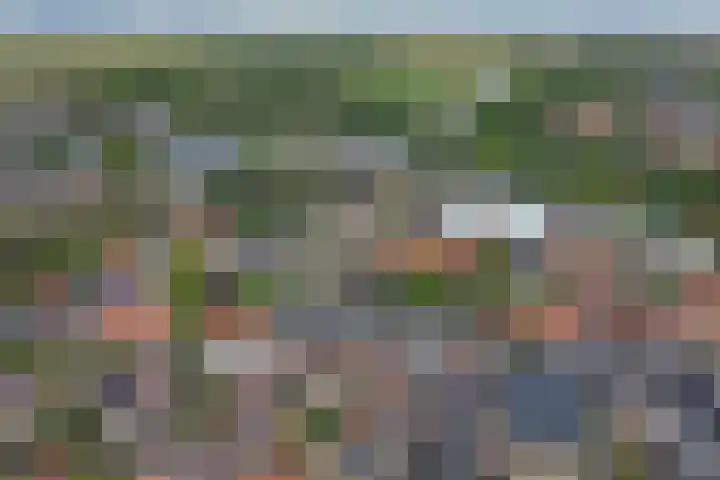 Boompjesstraat 27 Strijen thumbnail 55