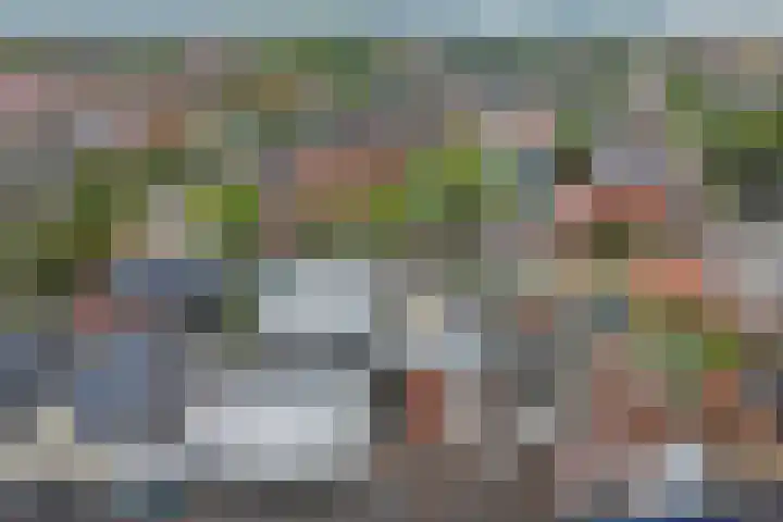 Boompjesstraat 27 Strijen thumbnail 56