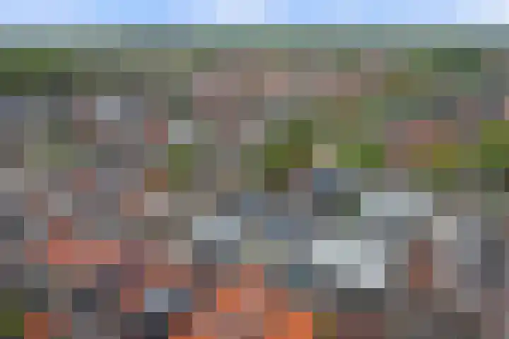 Boompjesstraat 27 Strijen thumbnail 57