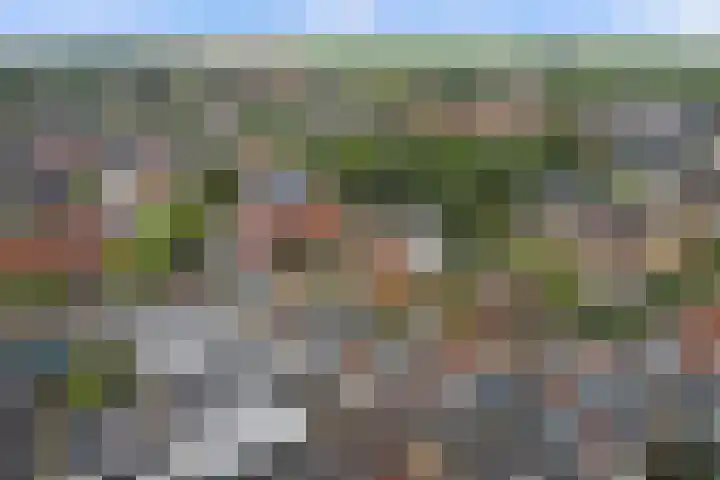 Boompjesstraat 27 Strijen thumbnail 58