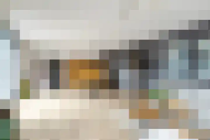 Boompjesstraat 27 Strijen thumbnail 9