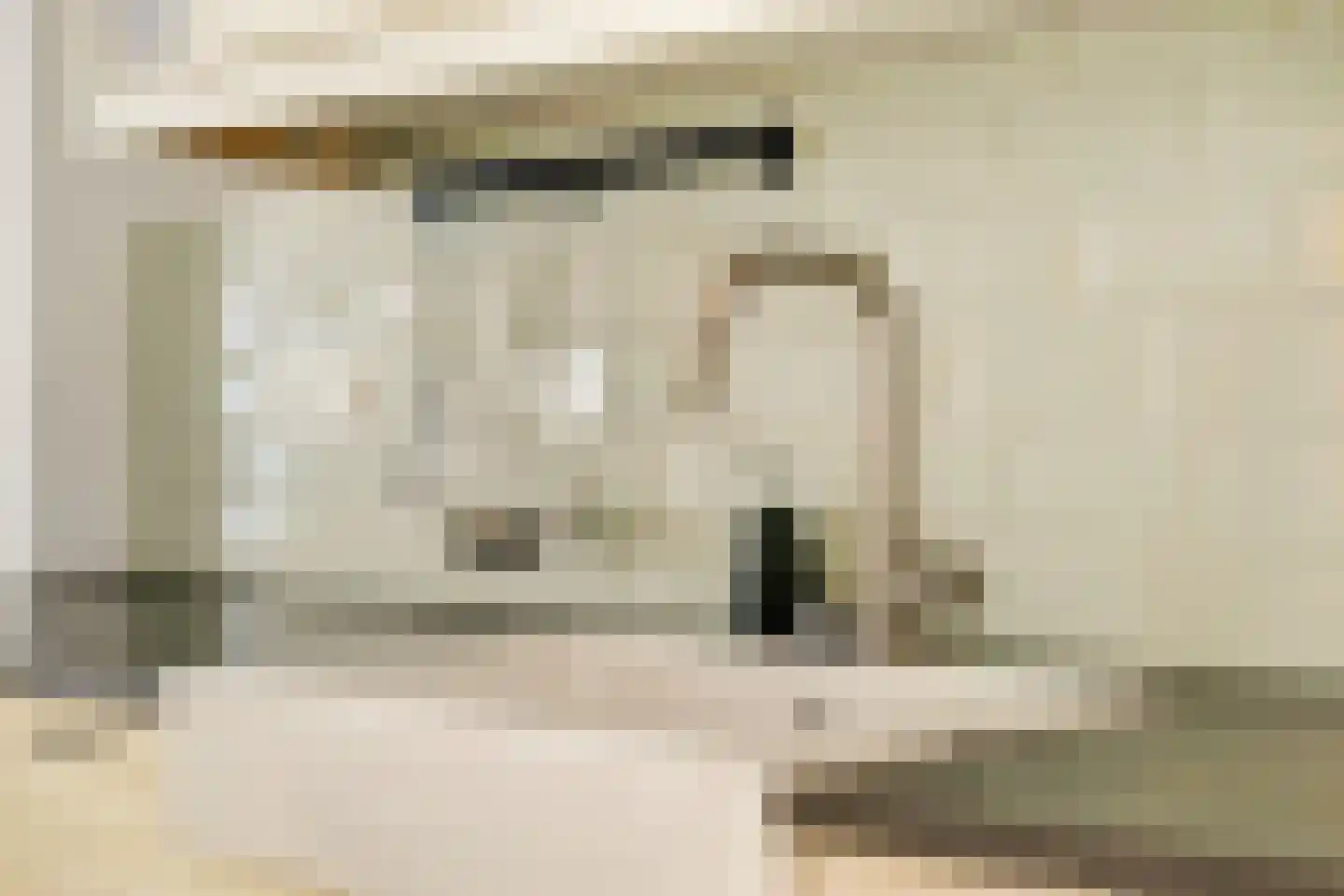 Boompjesstraat 28 Strijen thumbnail 11