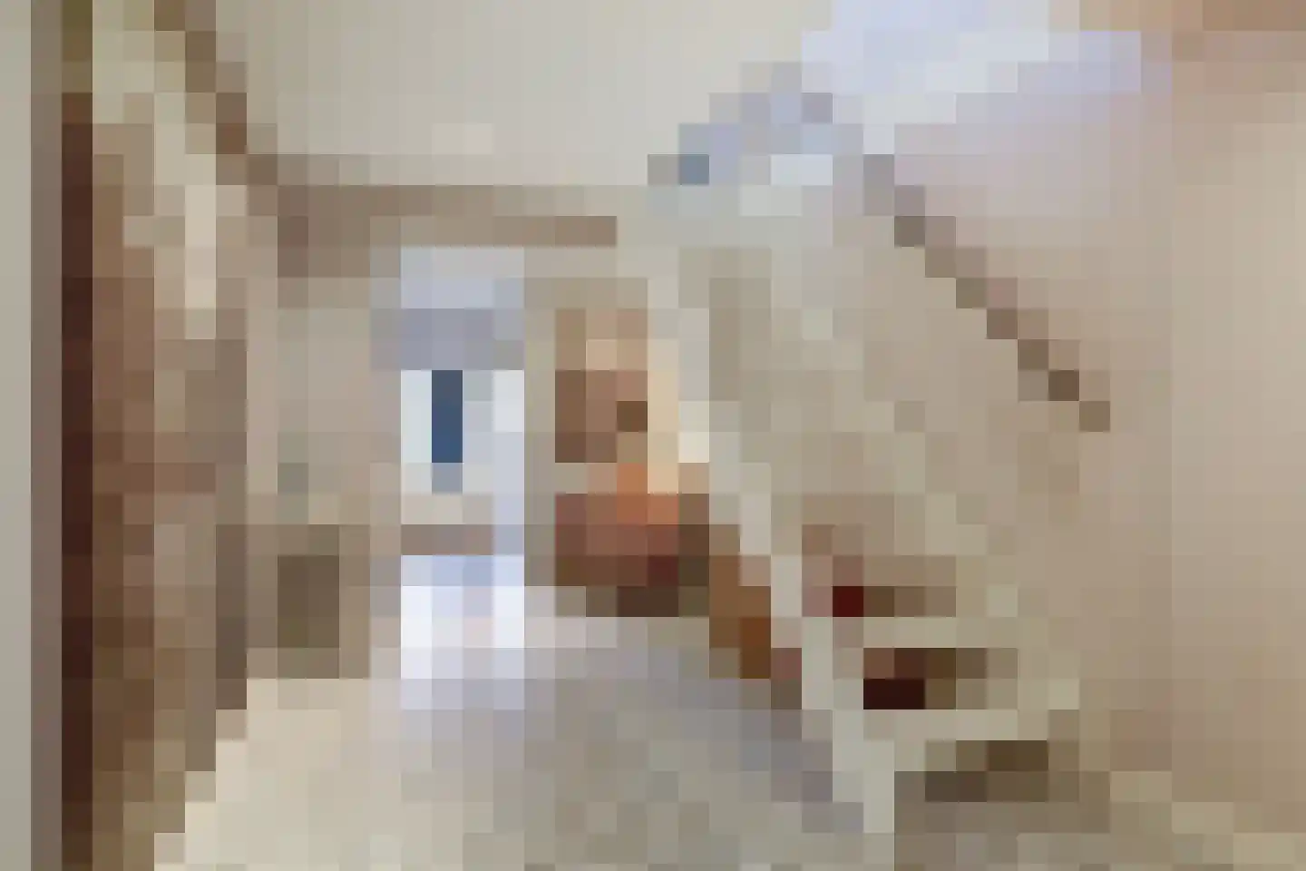 Boompjesstraat 28 Strijen thumbnail 15