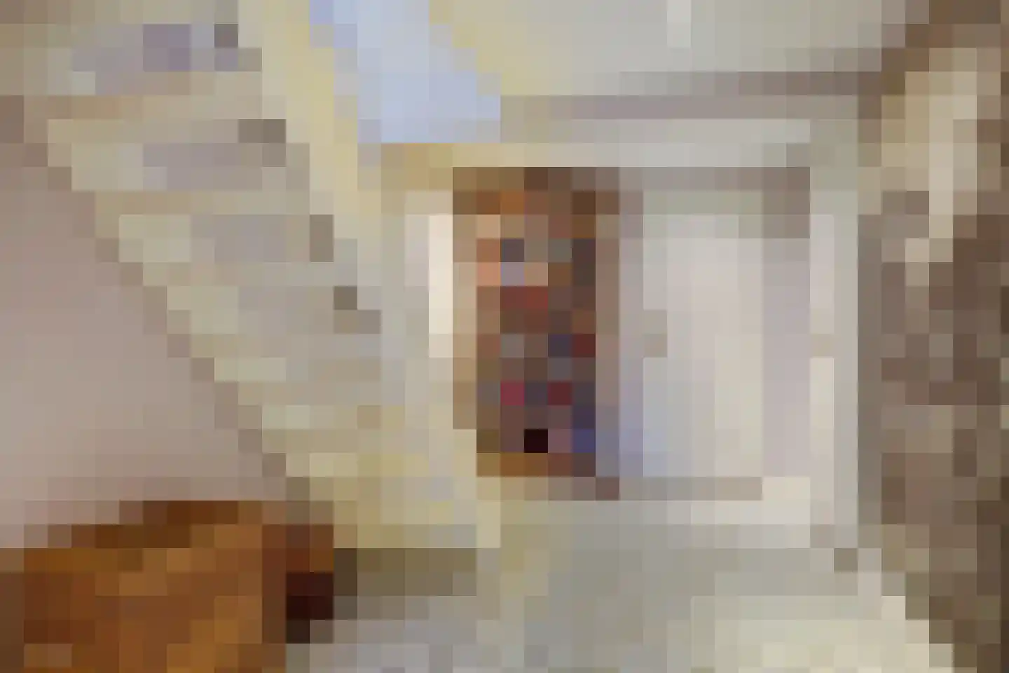 Boompjesstraat 28 Strijen thumbnail 16