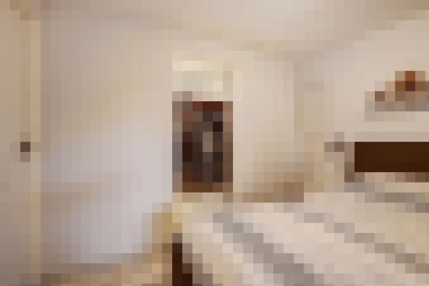 Boompjesstraat 28 Strijen thumbnail 19