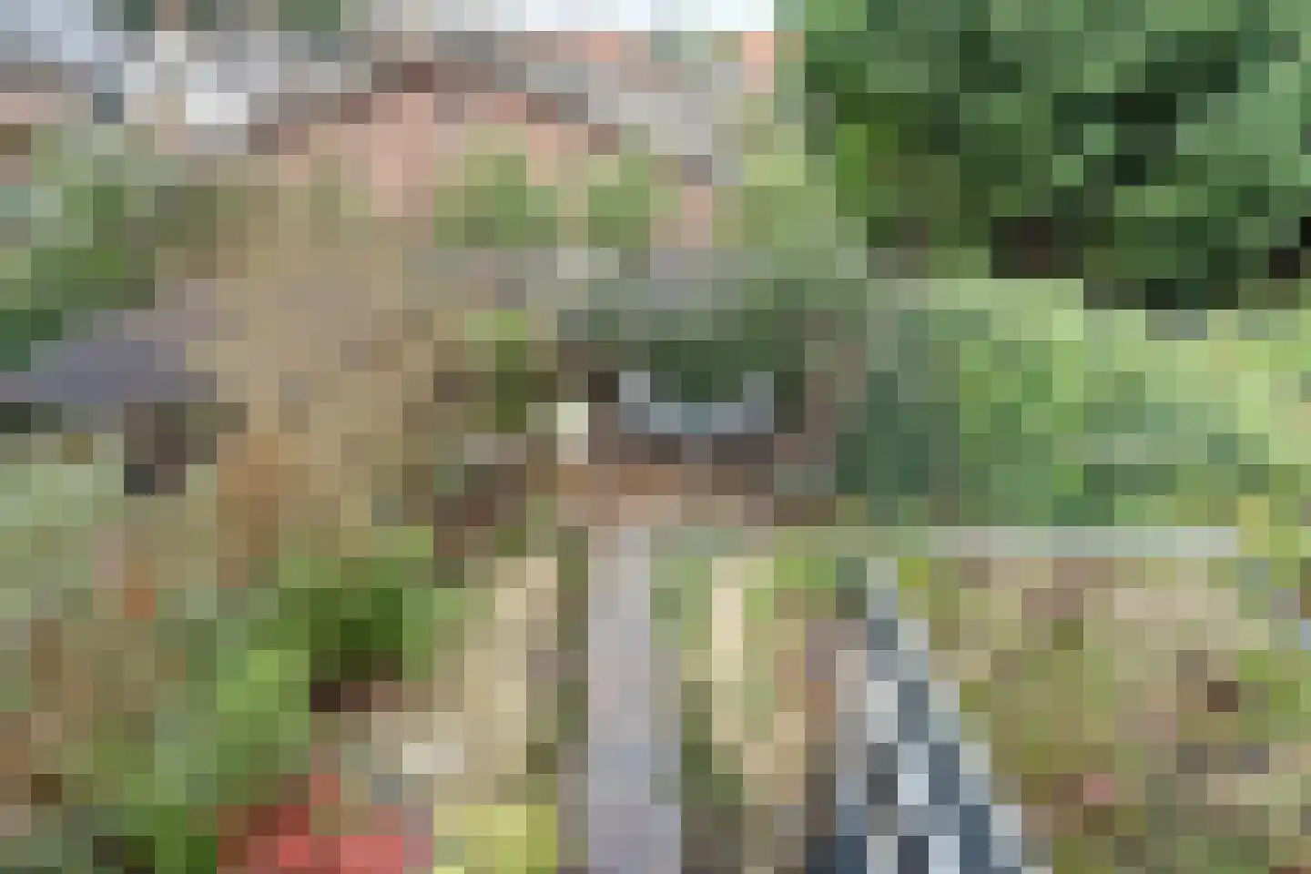 Boompjesstraat 28 Strijen thumbnail 33