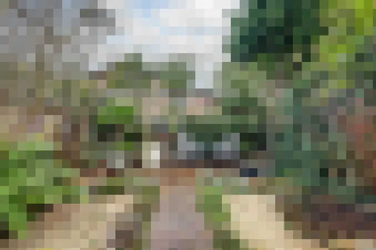 Boompjesstraat 28 Strijen thumbnail 35