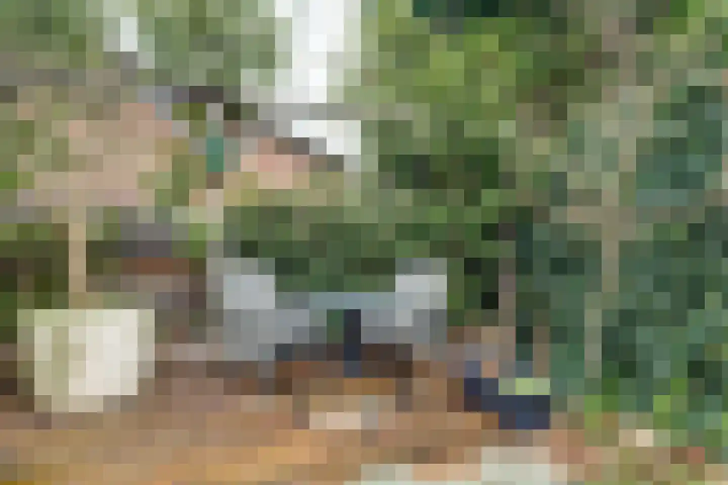 Boompjesstraat 28 Strijen thumbnail 36