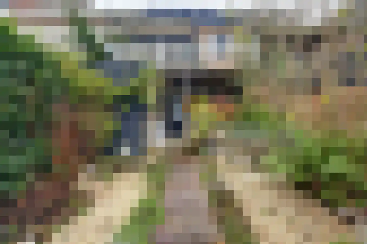 Boompjesstraat 28 Strijen thumbnail 37