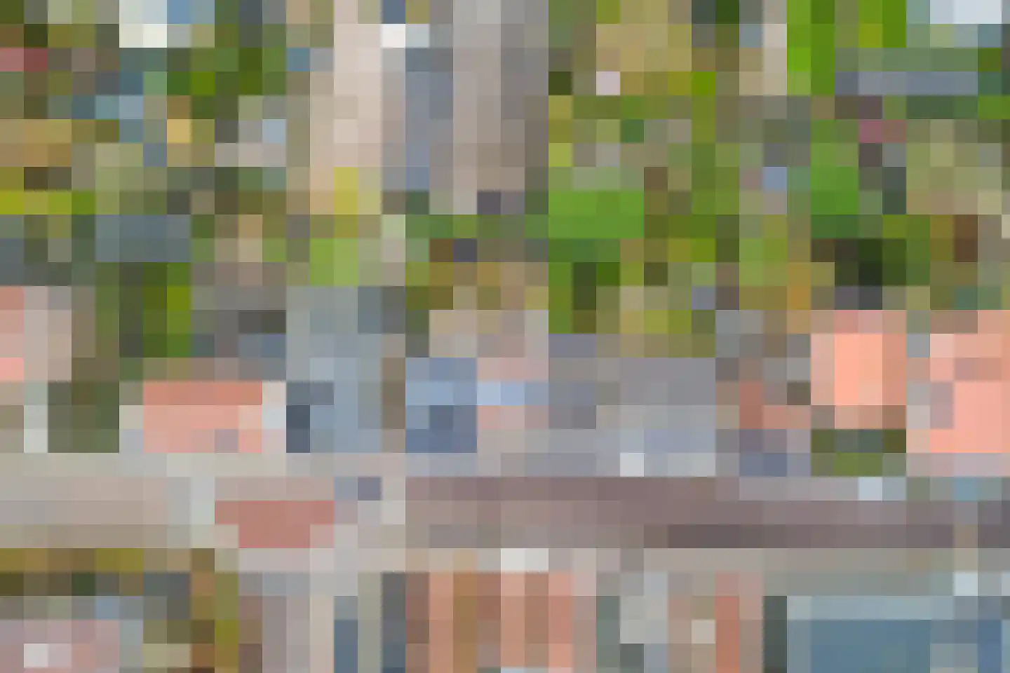 Boompjesstraat 28 Strijen thumbnail 43