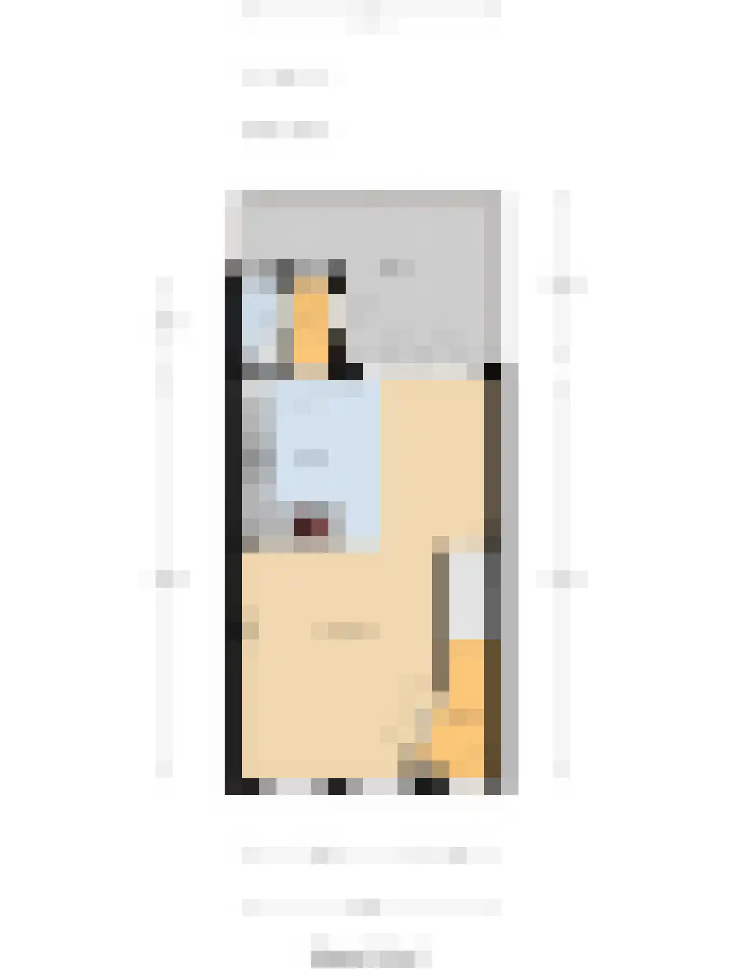Boompjesstraat 28 Strijen thumbnail 49