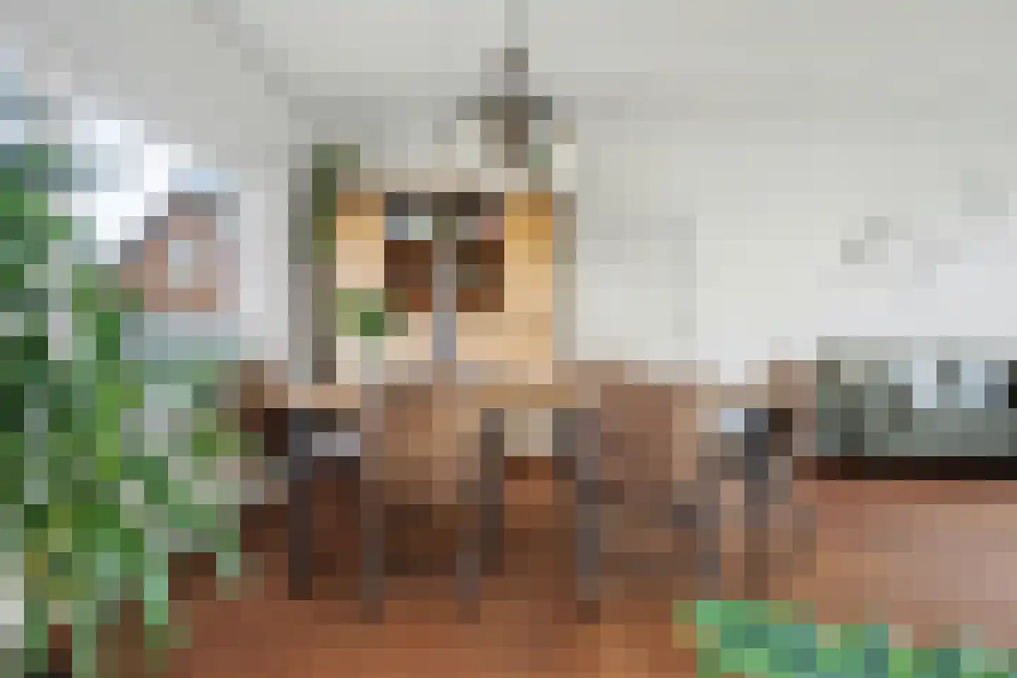 Boompjesstraat 37 Strijen thumbnail 13