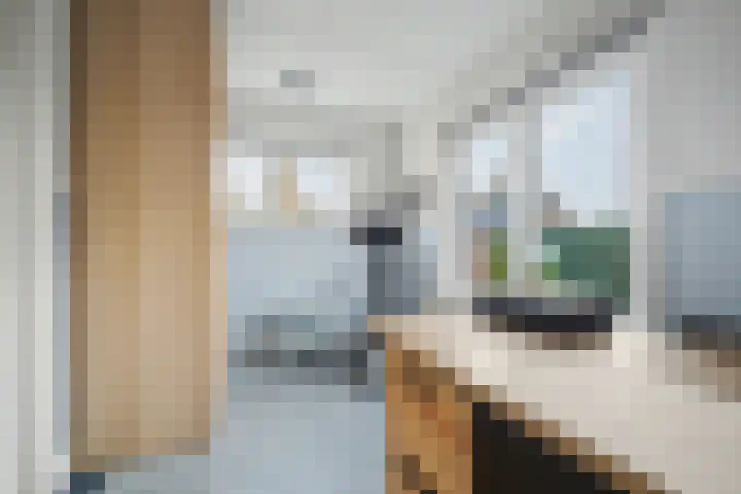 Boompjesstraat 37 Strijen thumbnail 23